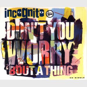 Don't You Worry 'Bout A Thing - Incognito (United Kingdom, 1992)