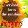 Everybody Loves The Sunshine - Incognito (United Kingdom, 2007)