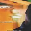 Nights Over Egypt - Remix - Incognito (United Kingdom, 1999)
