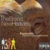 Elephantitis: The Funk + House Remixes - The Brand New Heavies (United States, 2007)