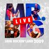 Live At Java Rockin'land 2009 - Mr. Big (Indonesia, 2009)