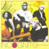 Tales From The Beach - Incognito (Indonesia, 2008)