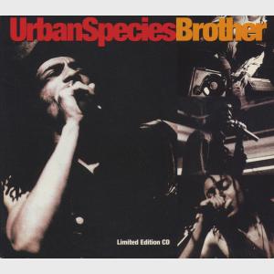 Brother - Remix - Urban Species (United Kingdom, 1994)